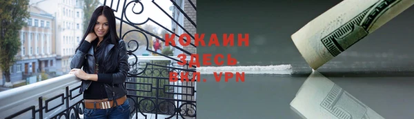 индика Белокуриха