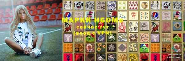 индика Белокуриха