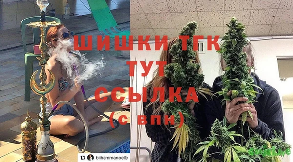 PSILOCYBIN Беломорск