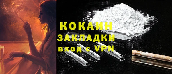 индика Белокуриха