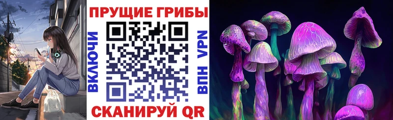 наркота  ссылка на мегу зеркало  Псилоцибиновые грибы MAGIC MUSHROOMS  Кодинск 